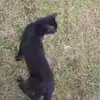 jreddd - @jaredjacobs20 - TikTok
