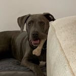 Jared Keen - @jaredkeen15 - Instagram