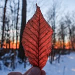 Jared Keyes - @jaredkeyesphotography - Instagram