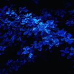 Jared Kimball - @jared_kimball8 - Instagram