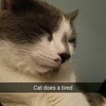 Jared Kraft - @_frickinheck_ - Instagram