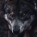 Jared Krebs - Facebook