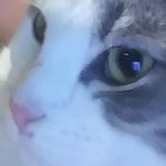 jared lacy - @banditcat42 - Instagram