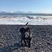 Jared Lambson - Facebook