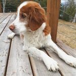 Jared Langford - @jared.langford.35 - Instagram