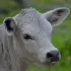 jaredlanier715 - @jaredlanier715 - TikTok