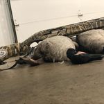 Jared Larson - @quack_em - Instagram