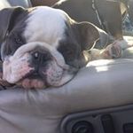Jared Lawson - @jaredlawson9960 - Instagram
