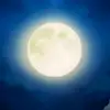 lebronvalencia929 Music playsΩ - @lebron.53jared - TikTok