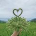 Jared Lee - Facebook