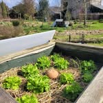 le jardin du Presby'Terre - @lejardindupresbyterre - Instagram