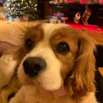 Jared Lerner - @jlerner77 - Instagram