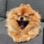 Jared Lerner - @lerner.jared - Instagram
