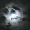 jaredleslie335 - @jaredleslie335 - TikTok
