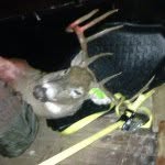 Jared Leuzinger - @hunting_is_life_1132 - Instagram