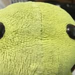 Jared Li - @j_z_li - Instagram