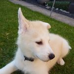 Jared Lincoln - @jared.lincoln.92 - Instagram