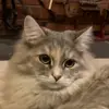 Jared Linder947 - @jaredlinder_ - TikTok
