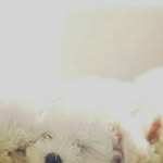 Jared_Lin - @jared_linkin - Instagram