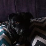 Jared William Cook - @jaredlink293 - Instagram