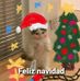 Jared Llamas - Facebook