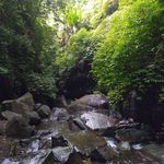 Jared Lovell - @drowningfish114 - Instagram