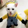 Jared Ludwig - @jared.ludwig - TikTok