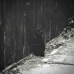 Jared Ludwig - @jaredludwig4 - Instagram
