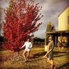 Jared Lund - @jaredlundie - TikTok