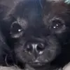 Jared Macias - @jared.macias27 - TikTok