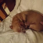 jared MacLeod - @jradmark2187 - Instagram