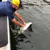 jaredmaggard03 - @jaredmaggard03 - TikTok
