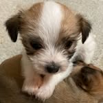 Jared_major - @jared_major_ - Instagram