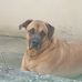 Jarod Marchand - Facebook