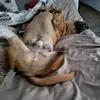 Jarod Marchand - @jarod.marchand - TikTok