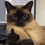 Jared Quintero Mayer - @jared_qm - Instagram