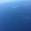 kuhu_privat - @jaredmccainfan0220 - TikTok