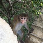 Jared Mccormack - @jared_mccor - Instagram
