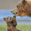 Jared Mcdowell - @julissa_mathews859148 - TikTok