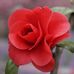 Jerrod Mclendon - Facebook