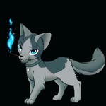 Jared McNamee - @the_magic_cat34 - Instagram