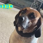 jucktlhs - @jaredmeadows_23 - Instagram