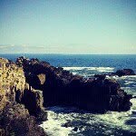 Jared Mednick - @wodjafink - Instagram