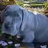 Jared Melnick - @jared.melnick - TikTok