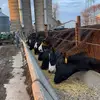Jared Richtsmeier - @jared_richtsmeier - TikTok