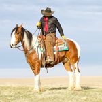 Jared Meyer Perfomance Horses - @jaredmeyerperfomance - Instagram