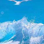 Jared Mingusa - @jaredmingusa - Instagram