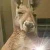 Jared Miranda - @jared.miranda89 - TikTok