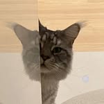 htop_jared. - @ja_redmoon - Instagram