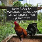 Jared Moreno - Facebook